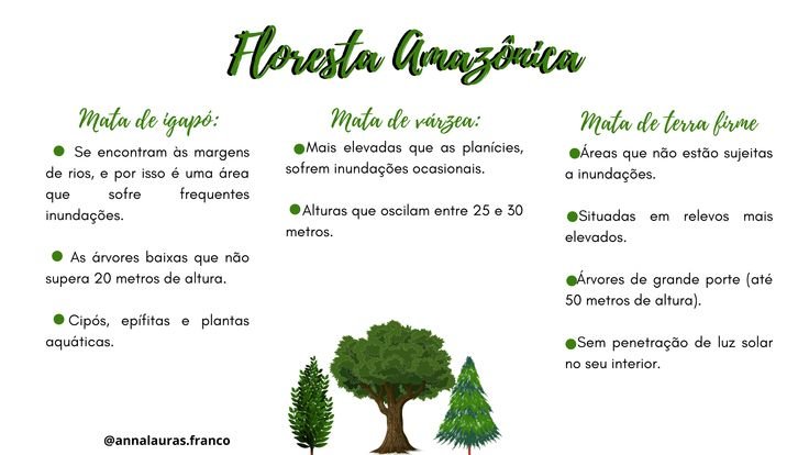 Mapa mental sobre A AMAZONIA
