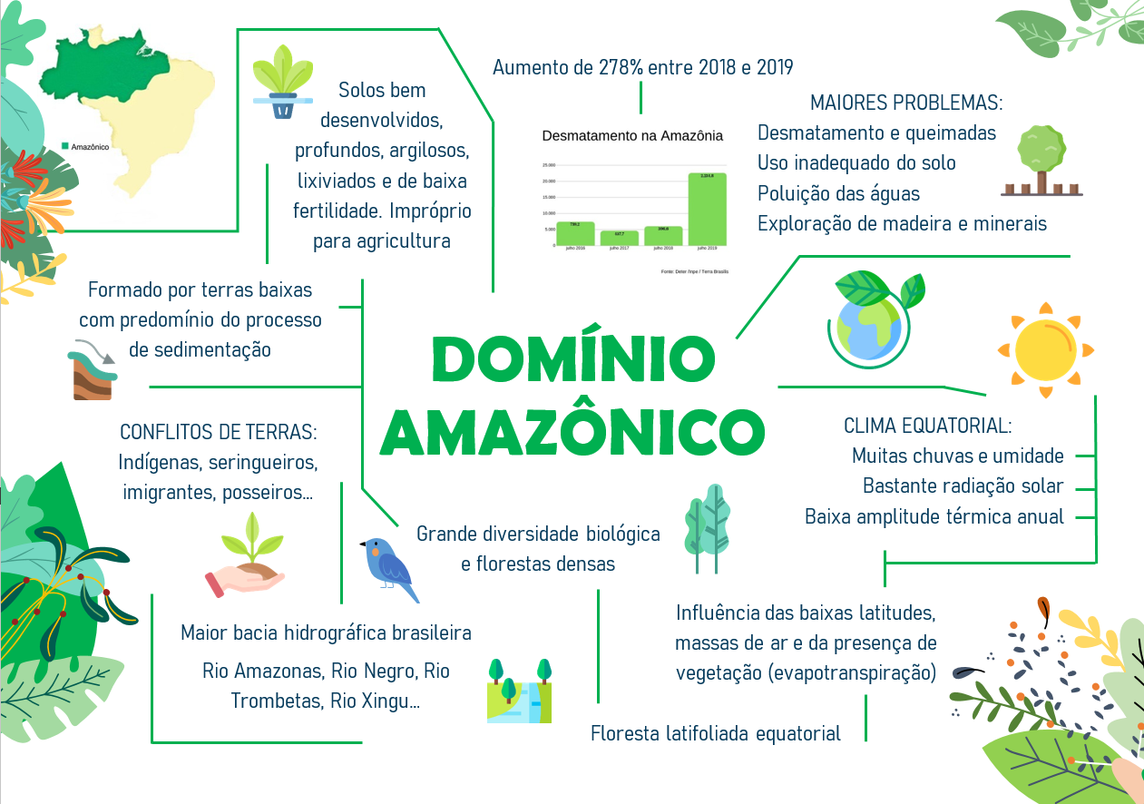 Mapa mental sobre A AMAZONIA