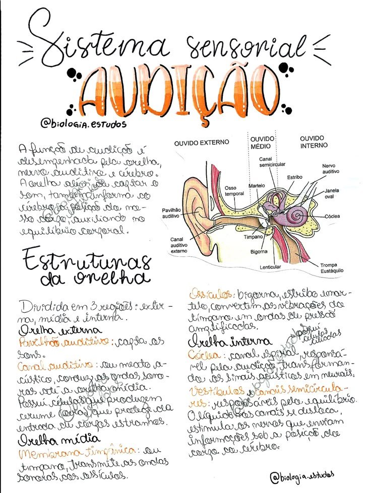 Mapa mental sobre AUDICAO