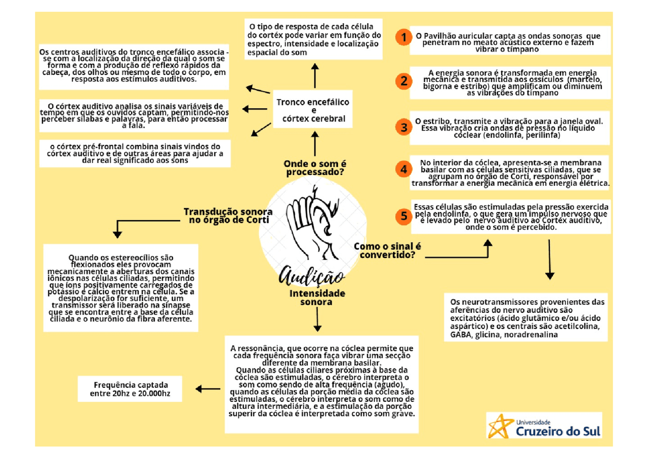 Mapa mental sobre AUDICAO