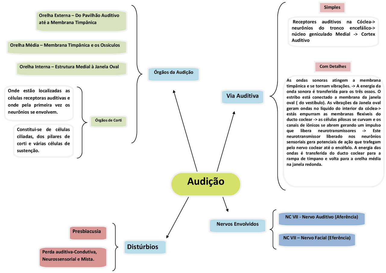 Mapa mental sobre AUDICAO