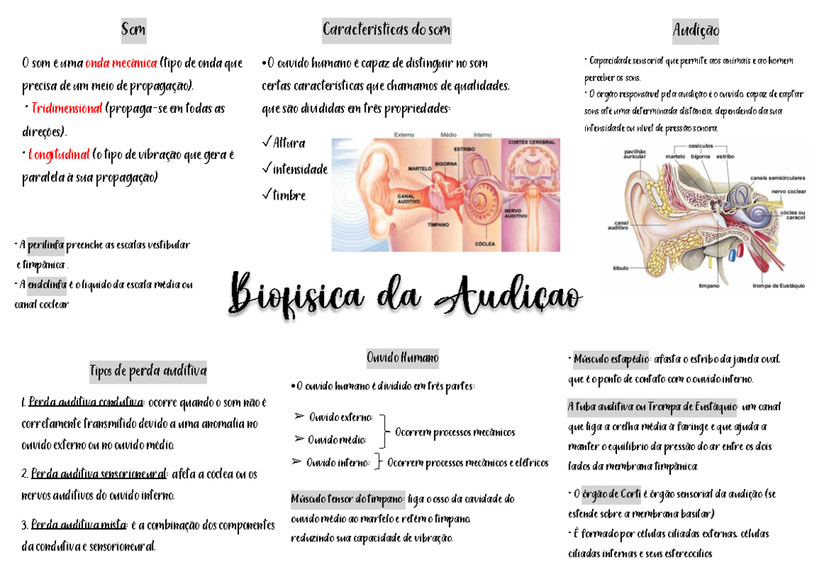 Mapa mental sobre AUDICAO