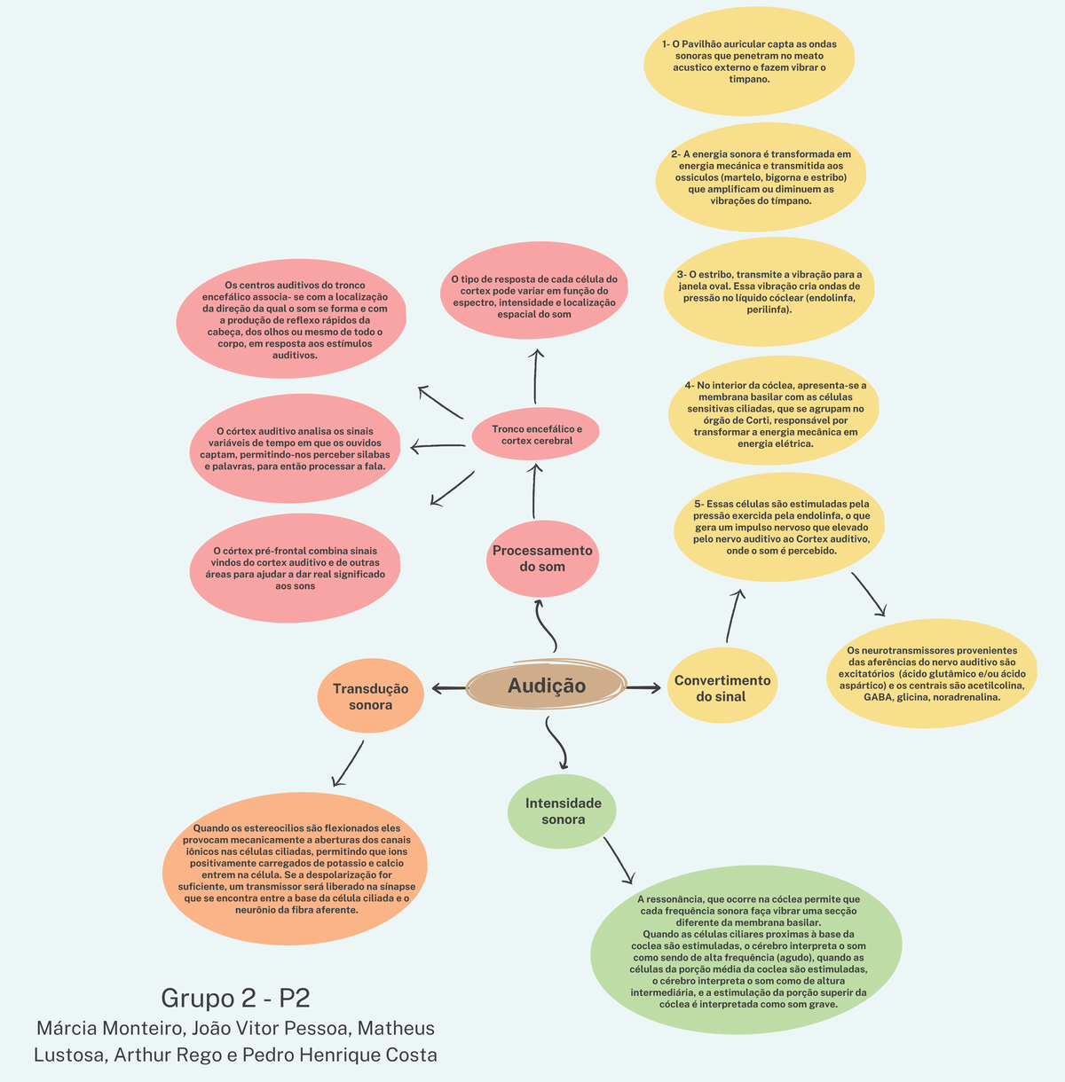 Mapa mental sobre AUDICAO