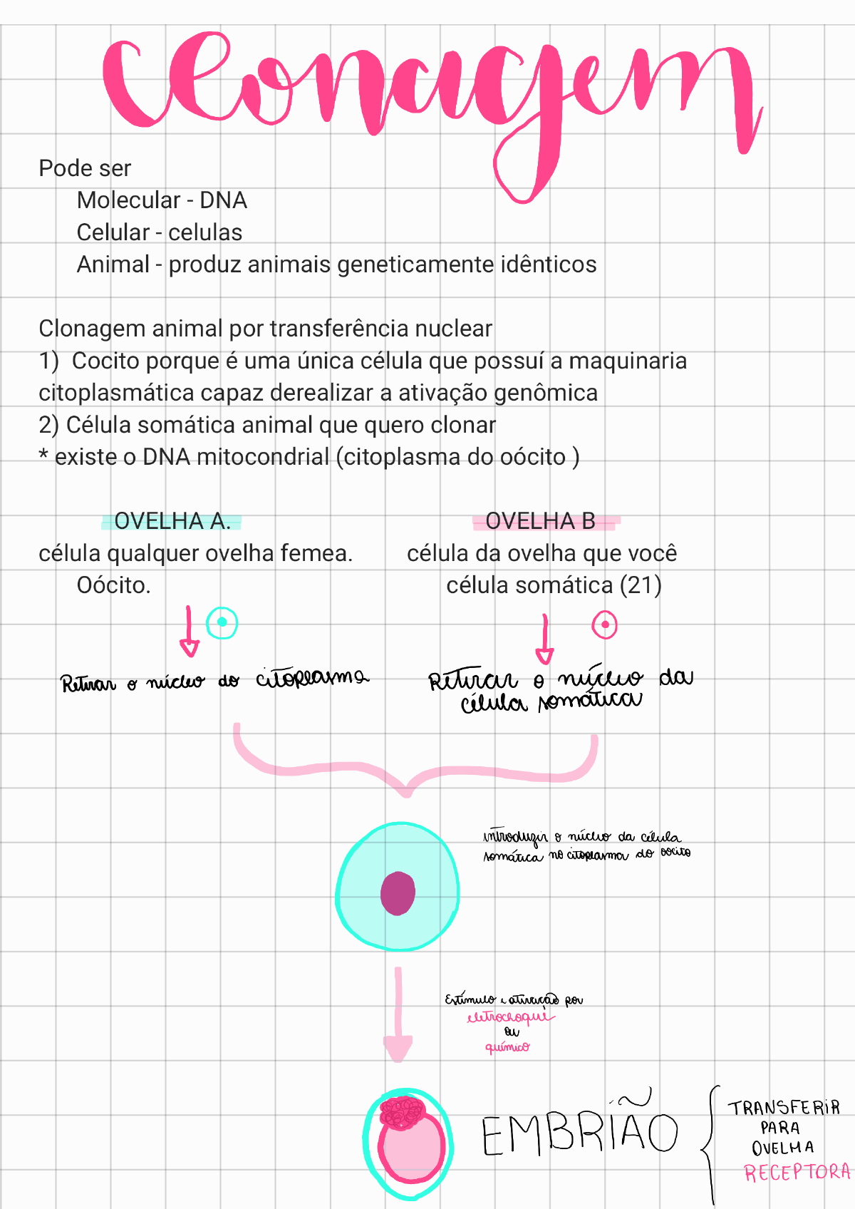 Mapa mental sobre CLONAGEM