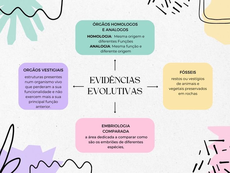 Mapa mental sobre EVIDENCIAS DA EVOLUCAO