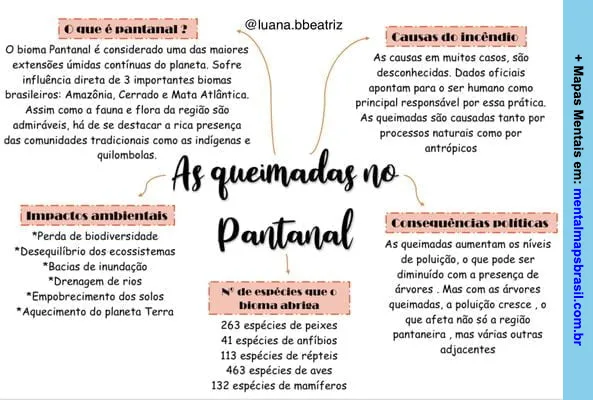 Mapa mental sobre O PANTANAL
