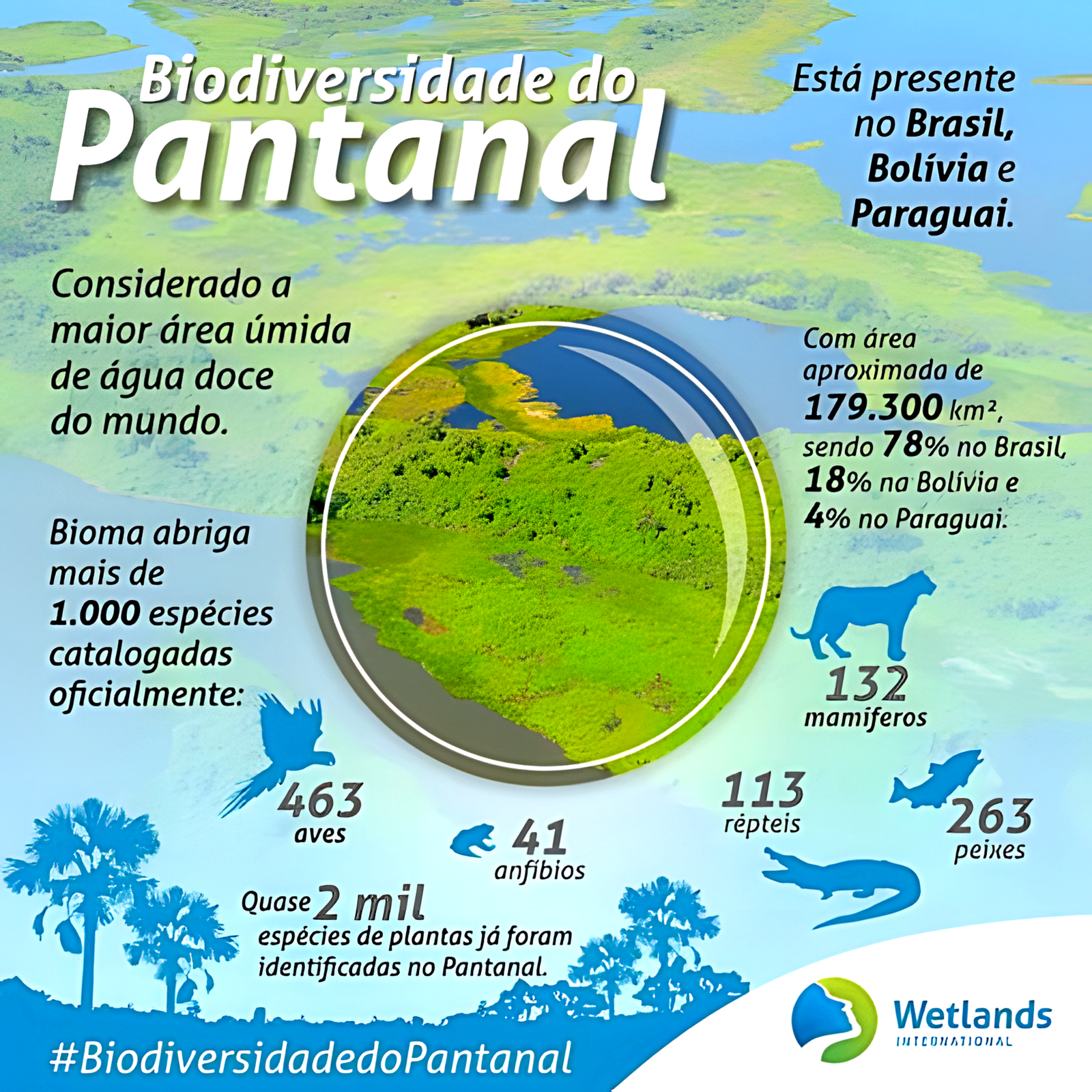 Mapa mental sobre O PANTANAL