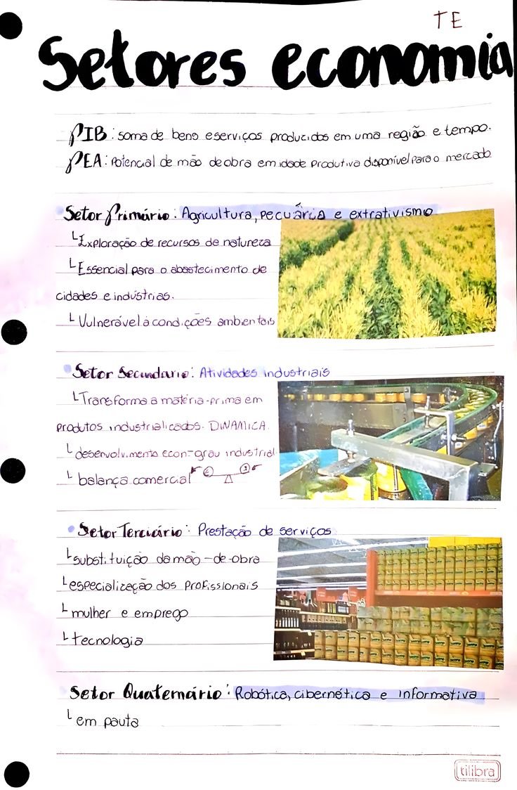 Mapa mental sobre SETORES DA ECONOMIA