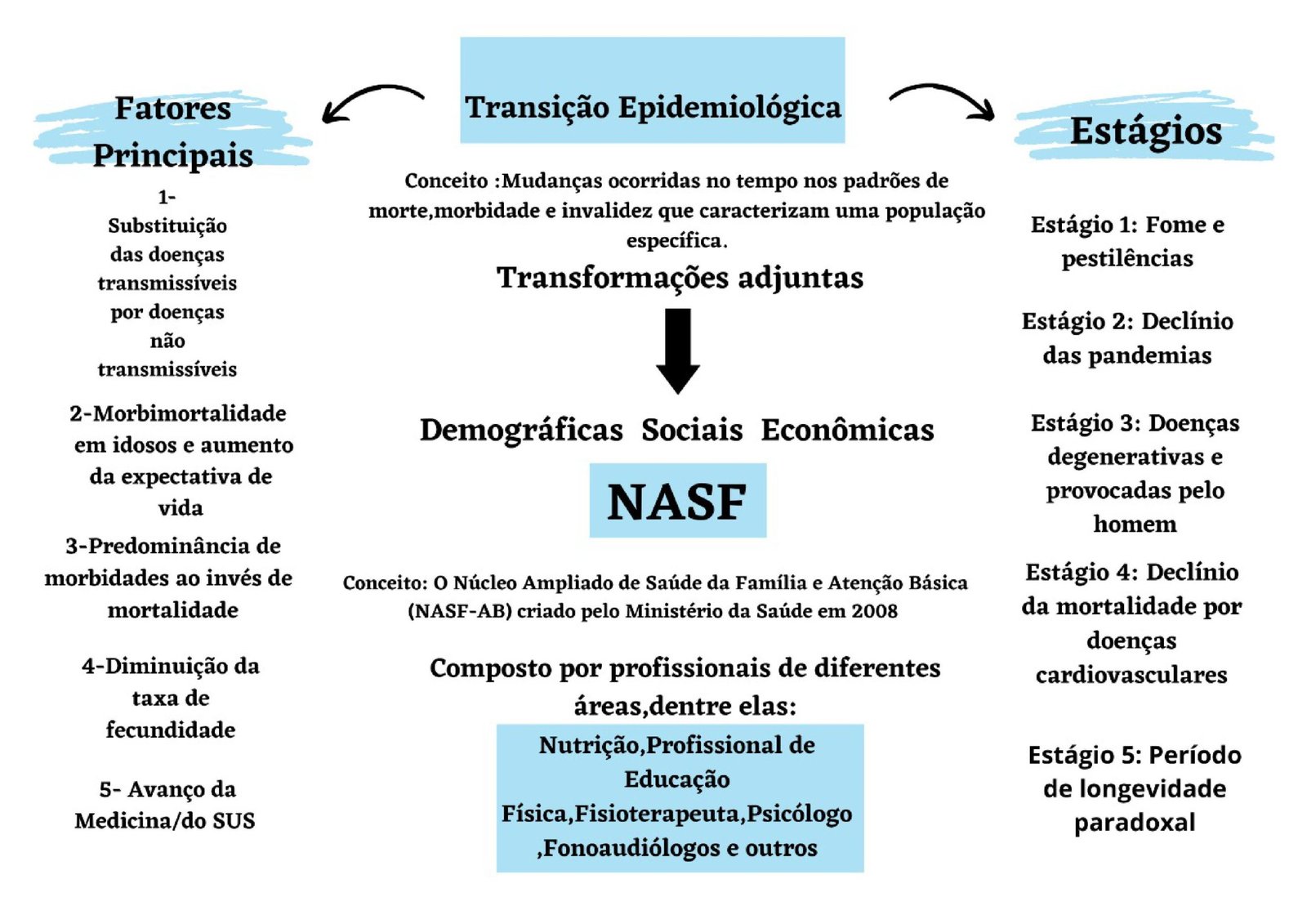 Mapa mental sobre TRANSICAO DEMOGRAFICA