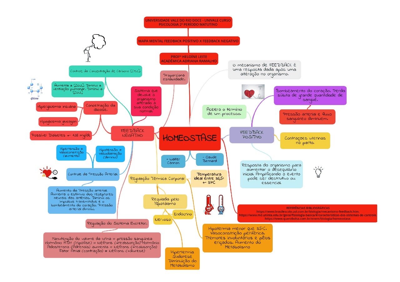 Mapa mental sobre FEEDBACK