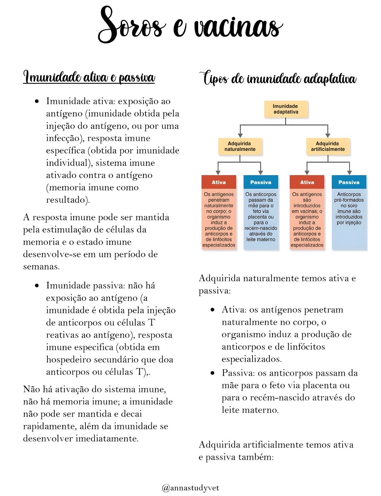 Mapa mental sobre VACINAS E SOROS