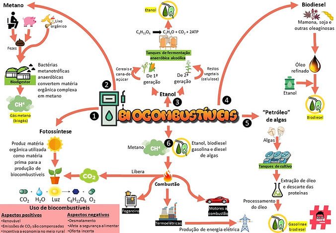 Mapa mental sobre BIOCOMBUSTIVEIS