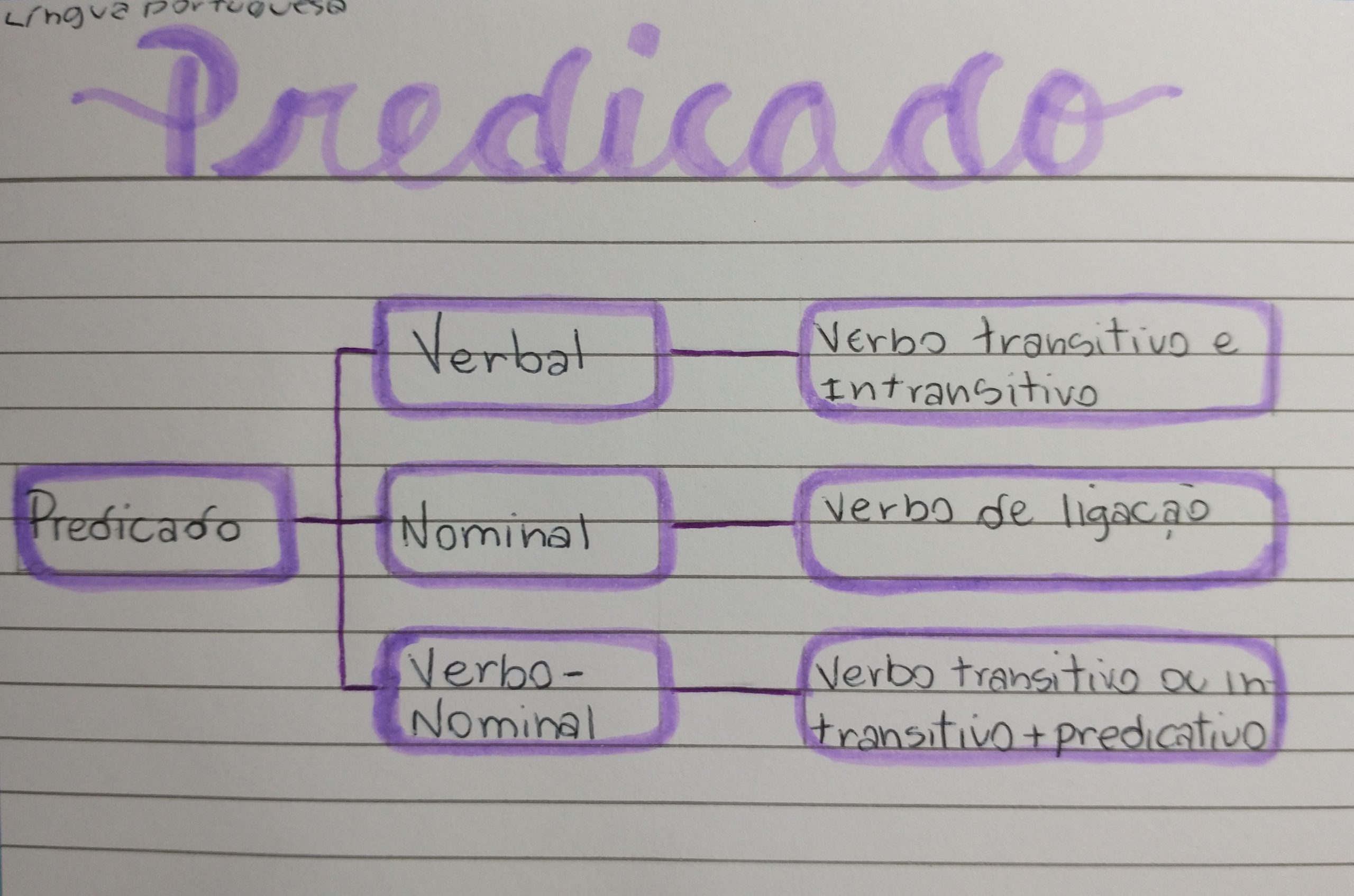 Mapa mental sobre PREDICACAO VERBAL