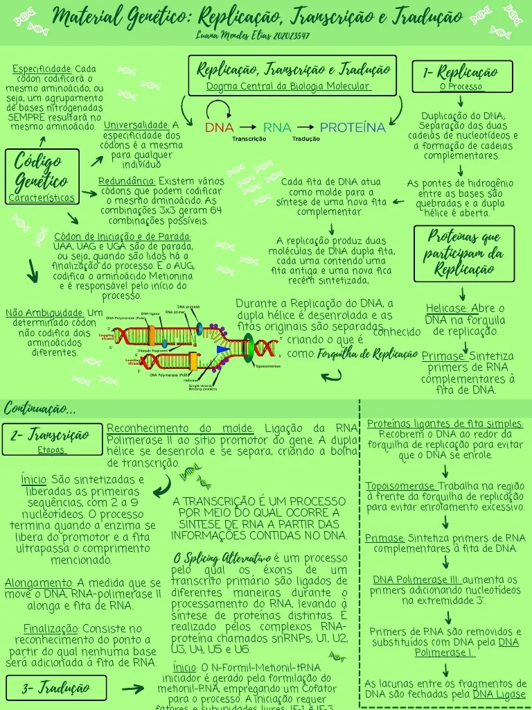 Mapa mental sobre REPLICACAO DO DNA