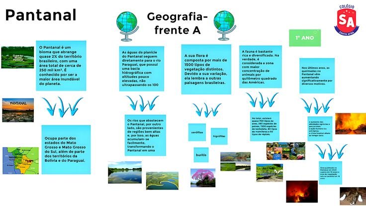 Mapa mental sobre O PANTANAL