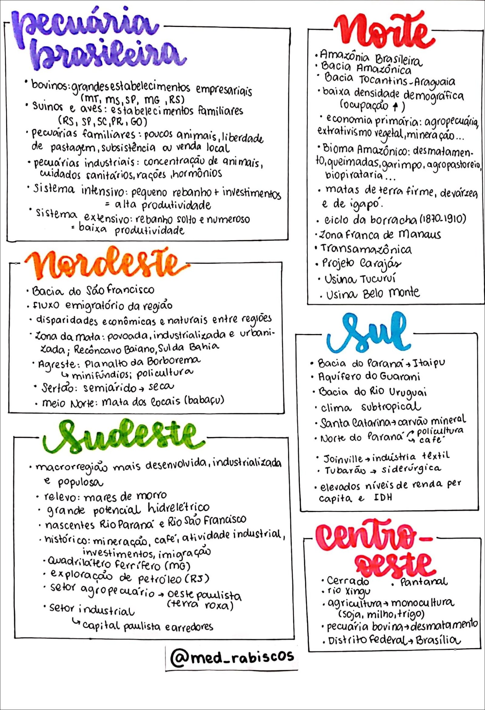 Mapa mental com a palavra pecuária no centro, ramificando-se para as palavras Noite e brasileira