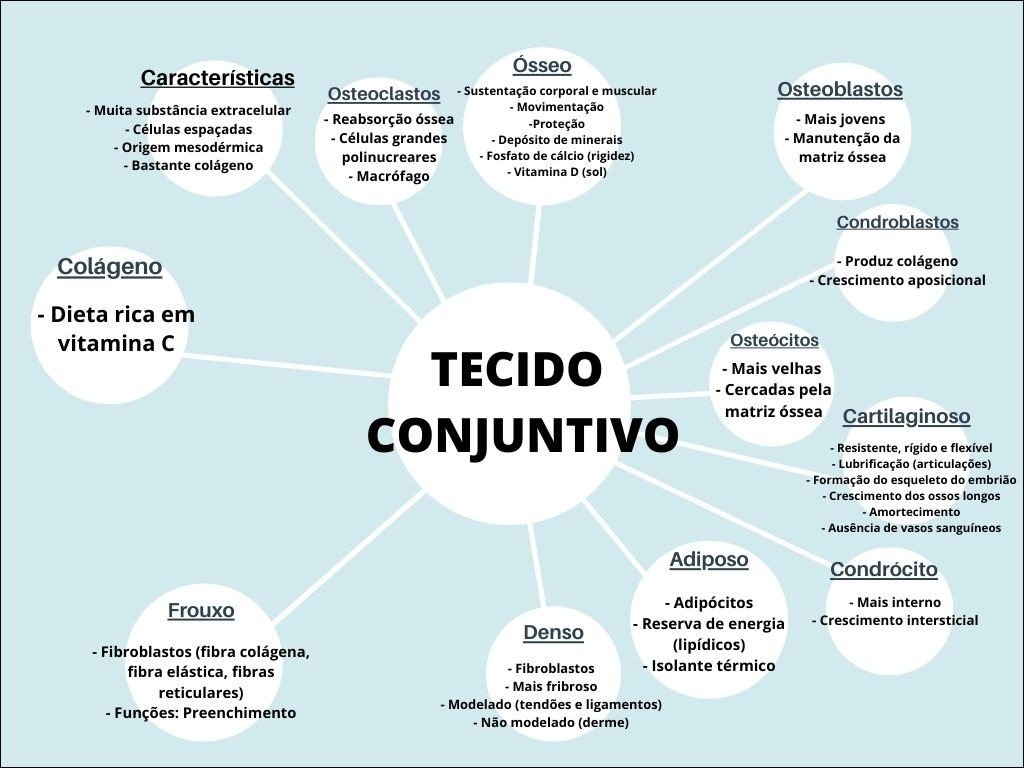 Mapa mental com tecido ósseo no centro, ramificando-se para vitaminas C e D, osteoclastos, osteócitos, osteoblastos, matriz óssea, reabsorção óssea e sustentação corporal e muscular