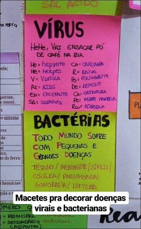 Mapas Mentais Sobre HEPATITE A - Study Maps