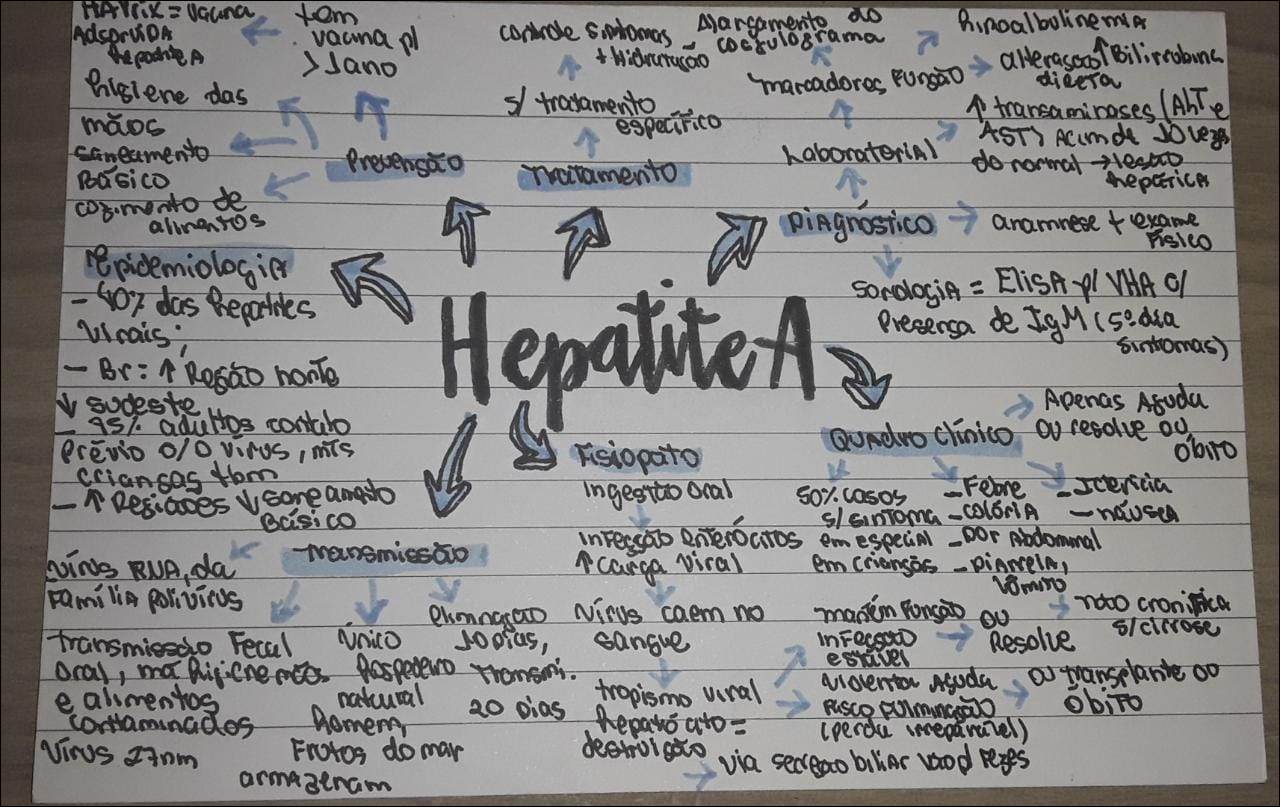 Mapas Mentais Sobre HEPATITE A - Study Maps