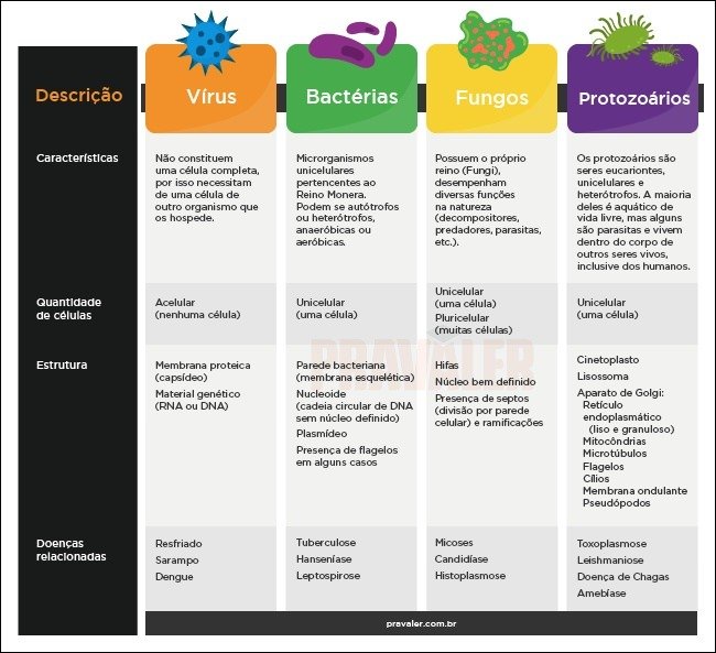 Mapa mental com Microrganismos no centro, ramificando-se para Vírus, Bactérias, Fungos e Protozoários