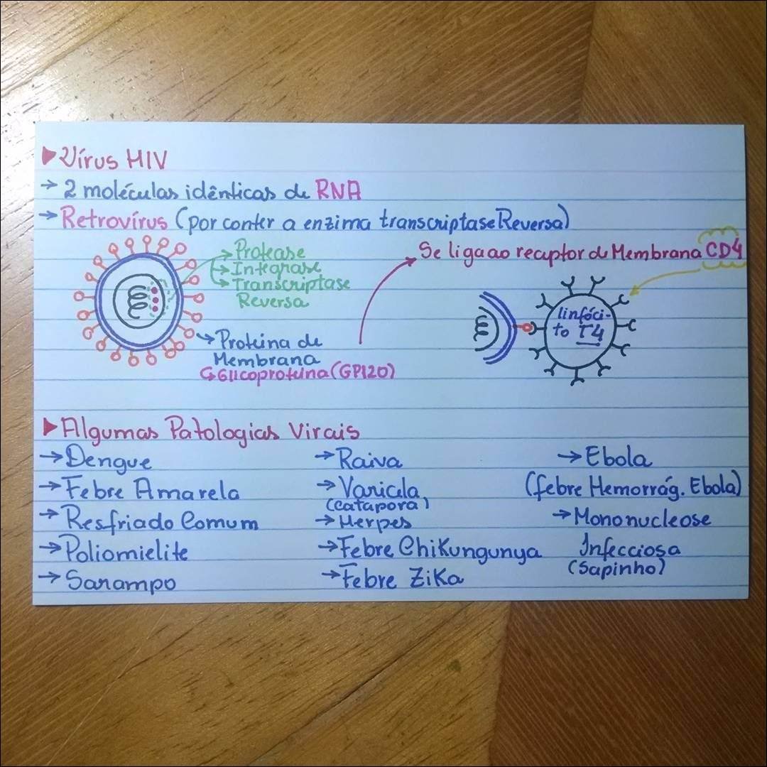 Mapa mental com Virus HIV no centro, ramificando-se para 2 molécular idênticas de RNA e Retrovirus por conter a enzima transcriptase Reversa