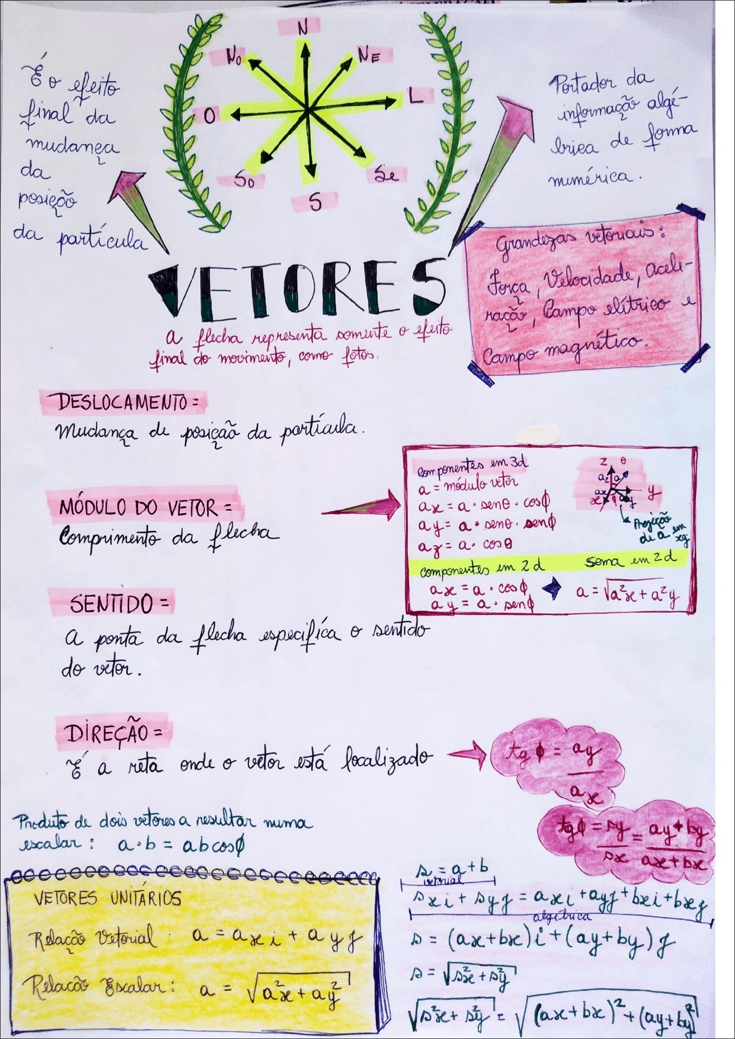 Mapas Mentais Sobre Vetores Study Maps