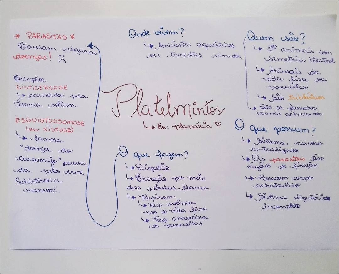 Mapa mental com Parasitas no centro, ramificando-se para Onde vivem e Quem são