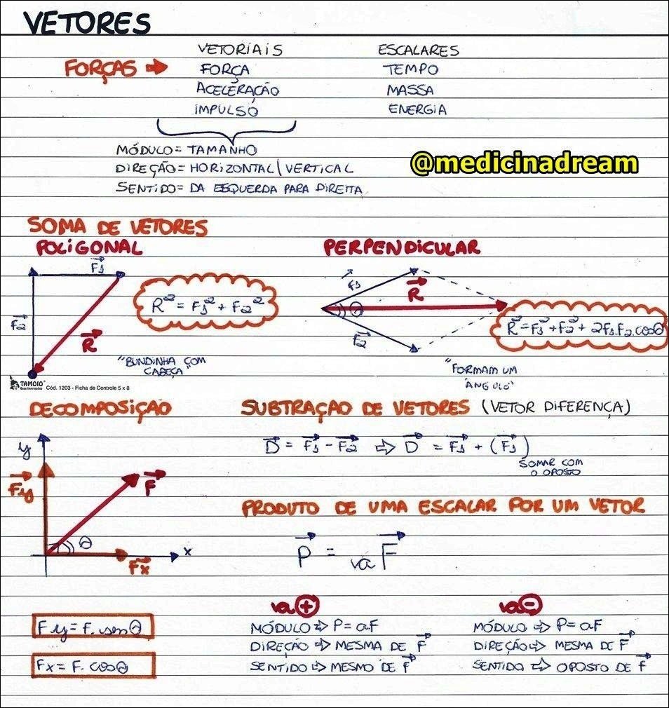 Mapa mental com VETORES no centro, ramificando-se para VETORIAIS e ESCALARES