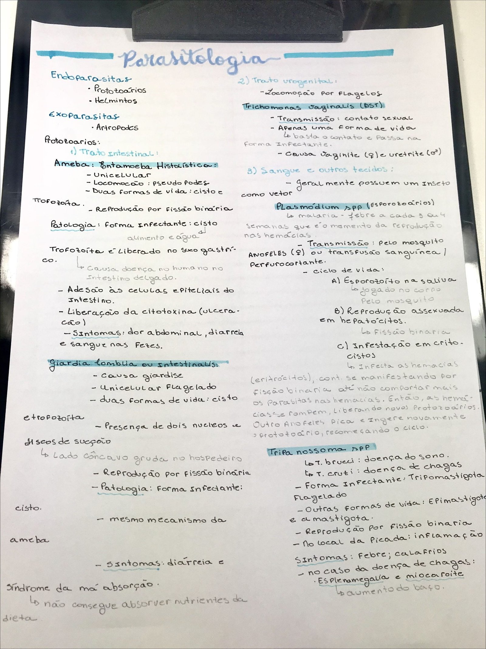 Mapa mental com Parasitologia no centro, ramificando-se para Endoparasitas e Exoparasitas