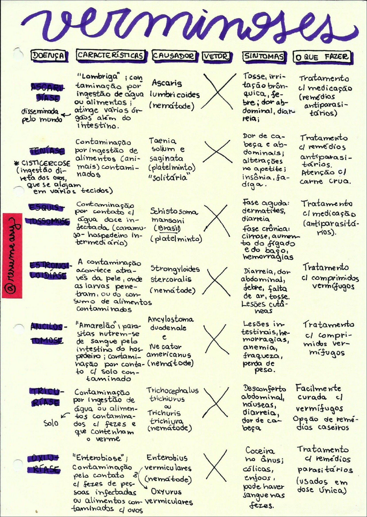 Mapa mental sobre verminoses, ramificando-se para Vetor, Tratamento e Tosse irritativa