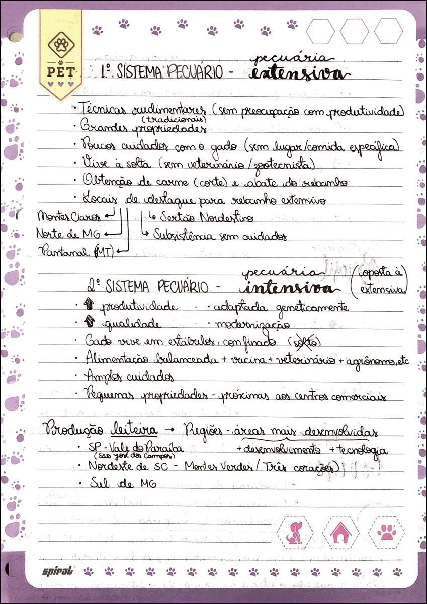 Mapa mental com pecuária no centro, ramificando-se para sistema pecuário extensiva e sistema pecuário intensiva