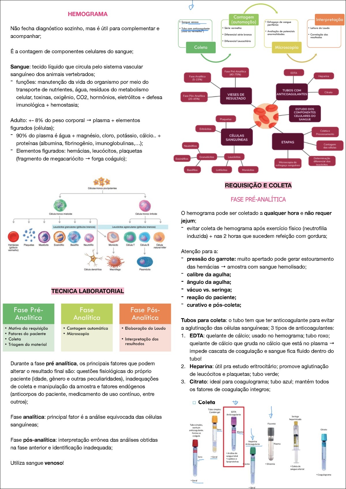 Mapas Mentais Sobre HEMOGRAMA Study Maps