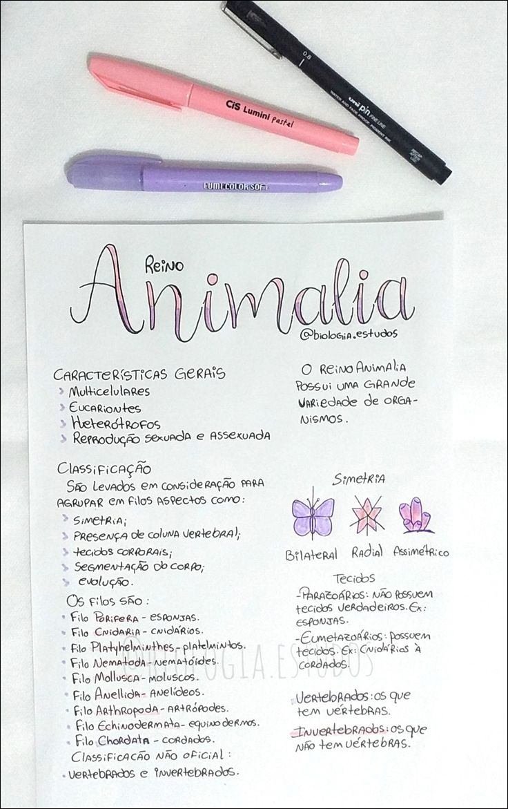 Mapa mental com a palavra REINO ANIMALIA no centro, ramificando-se para características gerais e variedade de organismos