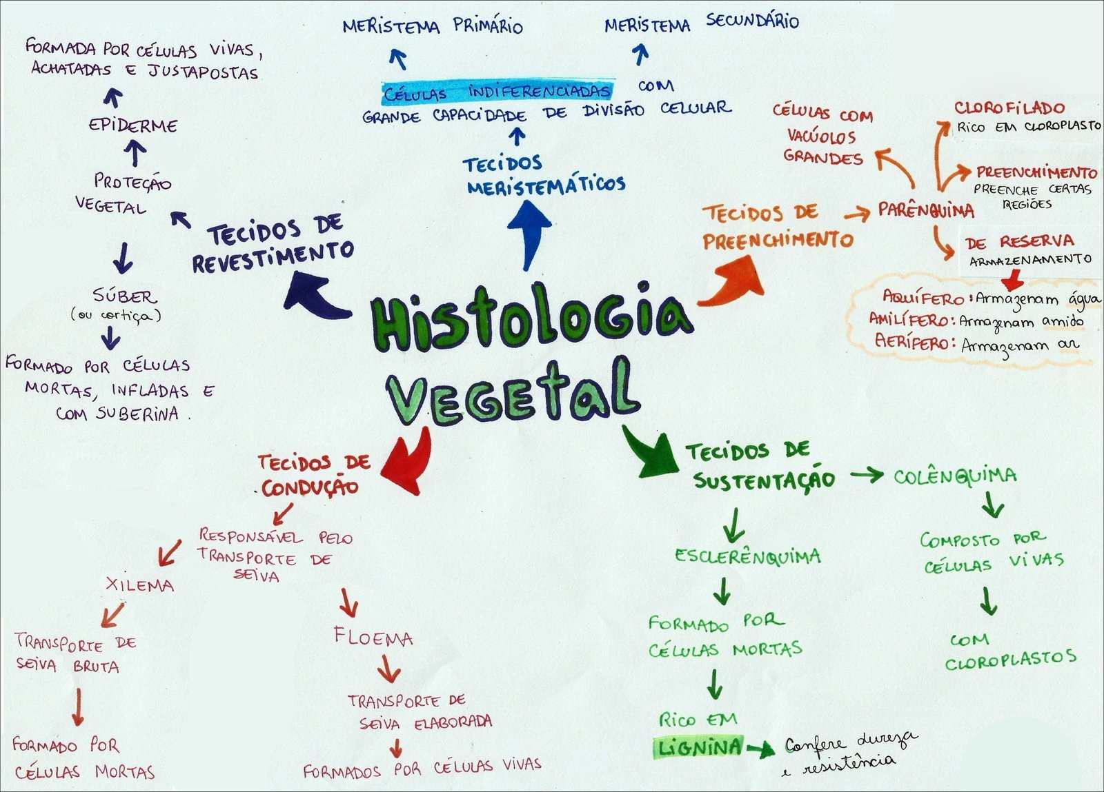 Mapa mental com o tema Histologia, ramificando-se para Tecidos, Células Vivas e Células Mortas