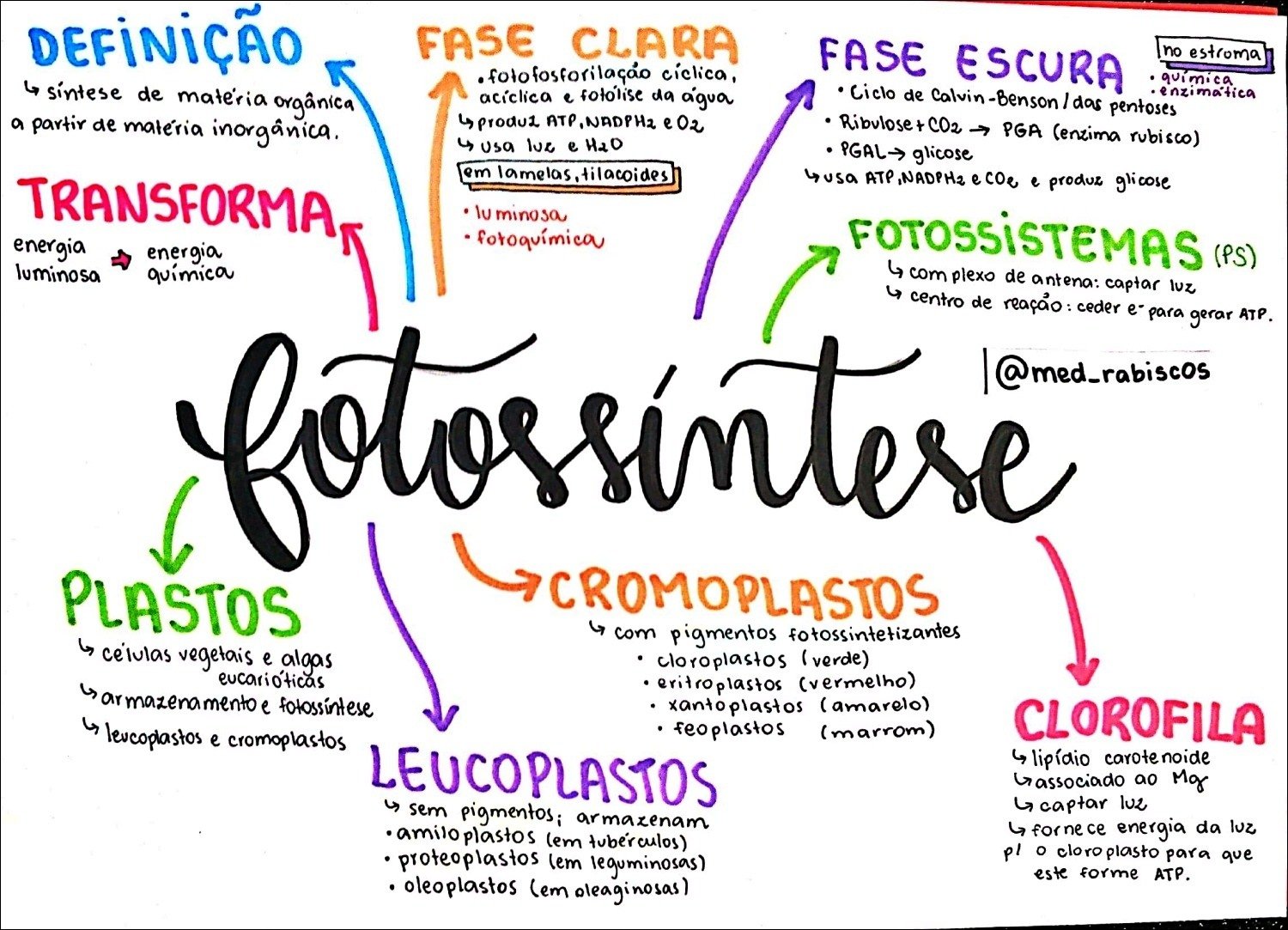 Mapa mental com Fotossíntese no centro, ramificando-se para Fase Clara, Fase Escura, Química e Síntese de matéria orgânica