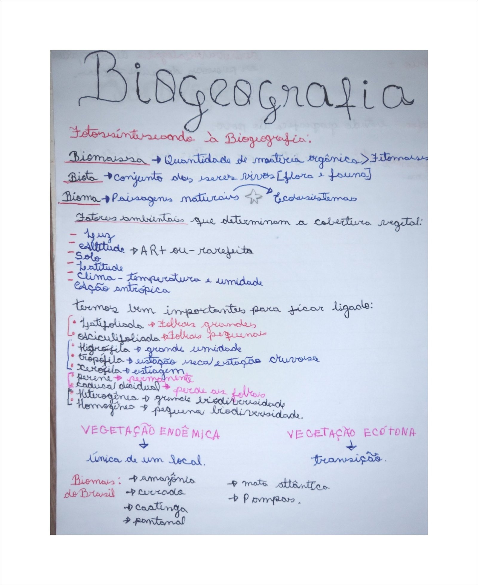 Mapa mental com Biogrografia no centro, ramificando-se para Biomassa e Quantidade de material orgânico Fitomors