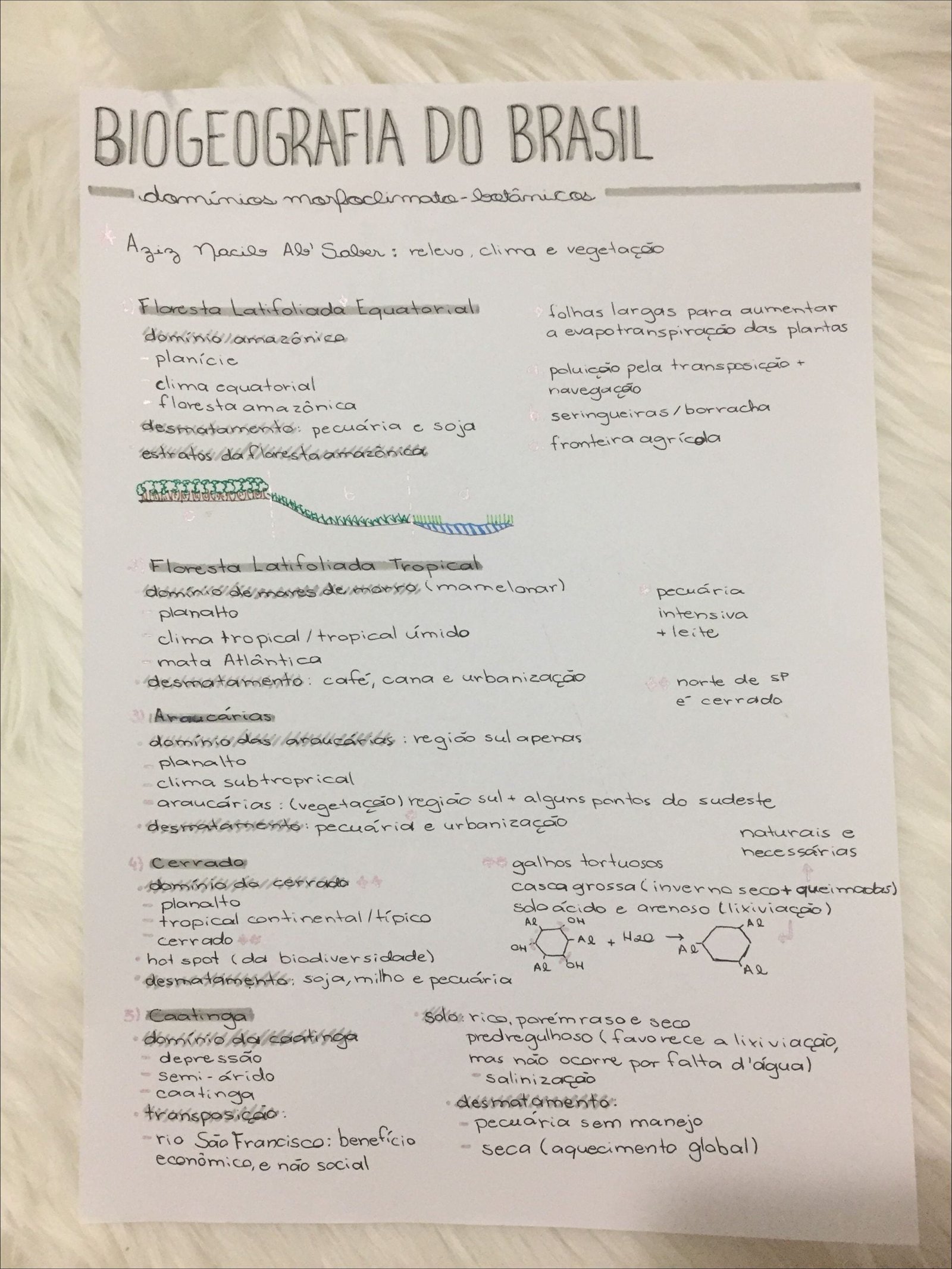 Mapa mental com Biogeografia do Brasil no centro, ramificando-se para Domínios e Agiz nacib Ab Saber