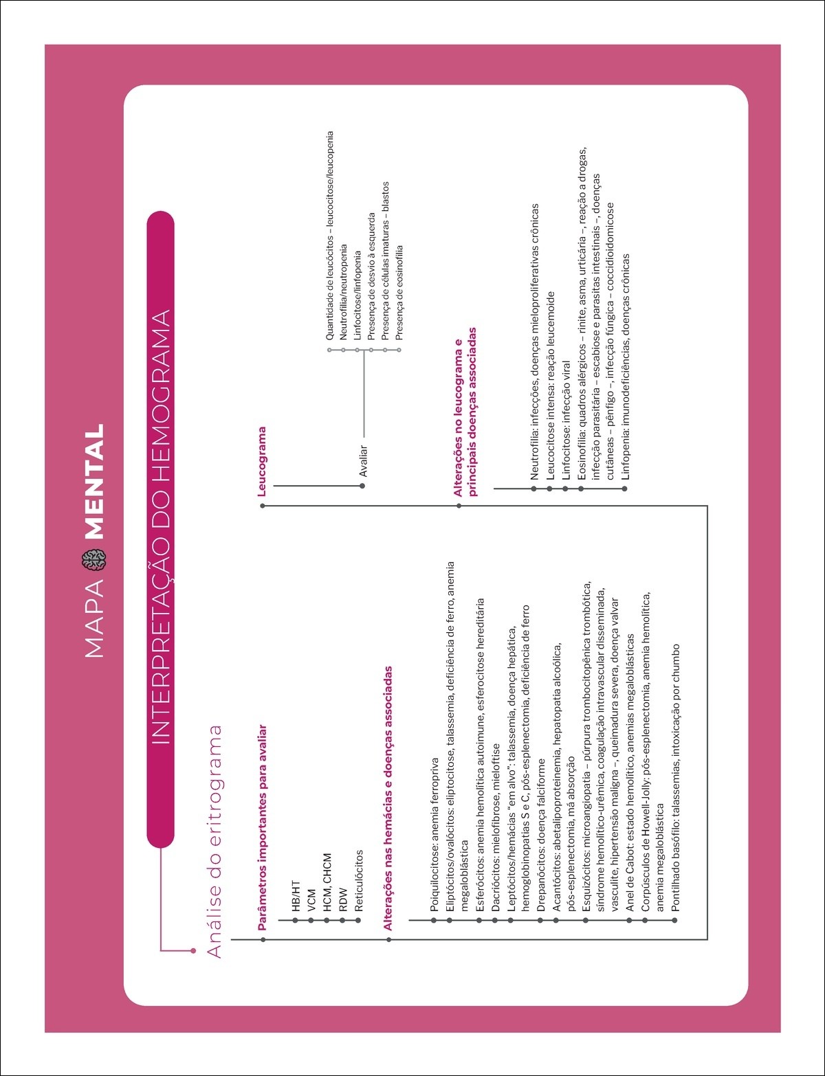 Mapas Mentais Sobre Hemograma Study Maps