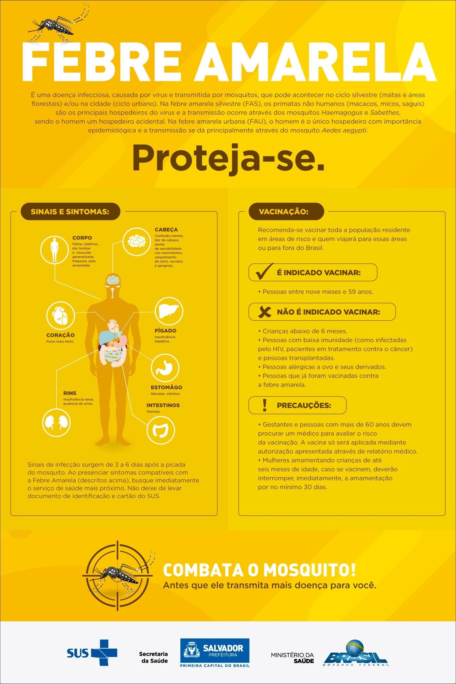 FEBRE AMARELA: Doença Infecciosa e Transmissão