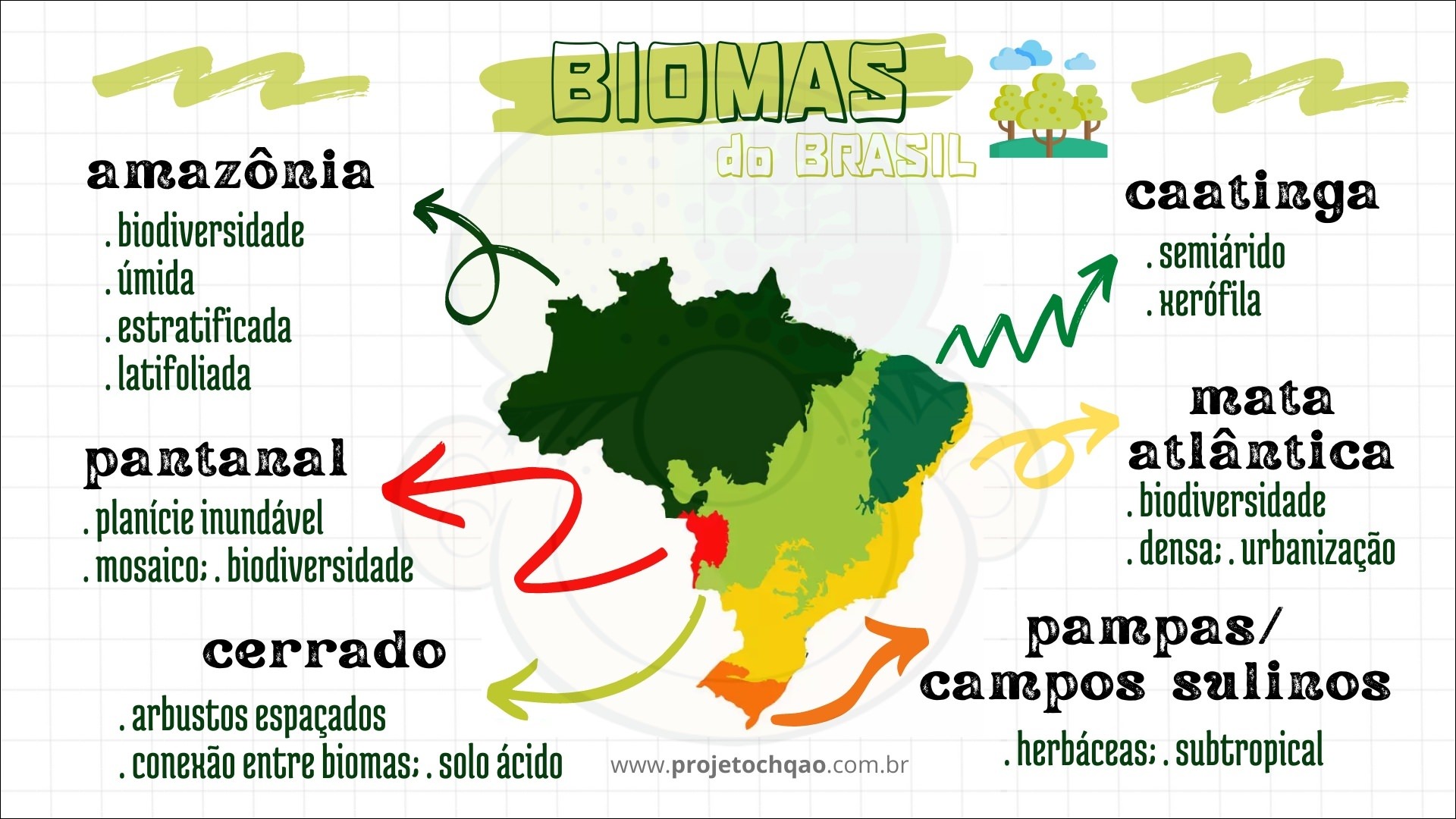 Mapa Mental Impacto Sobre Os Biomas Brasileiros Mapas 7529