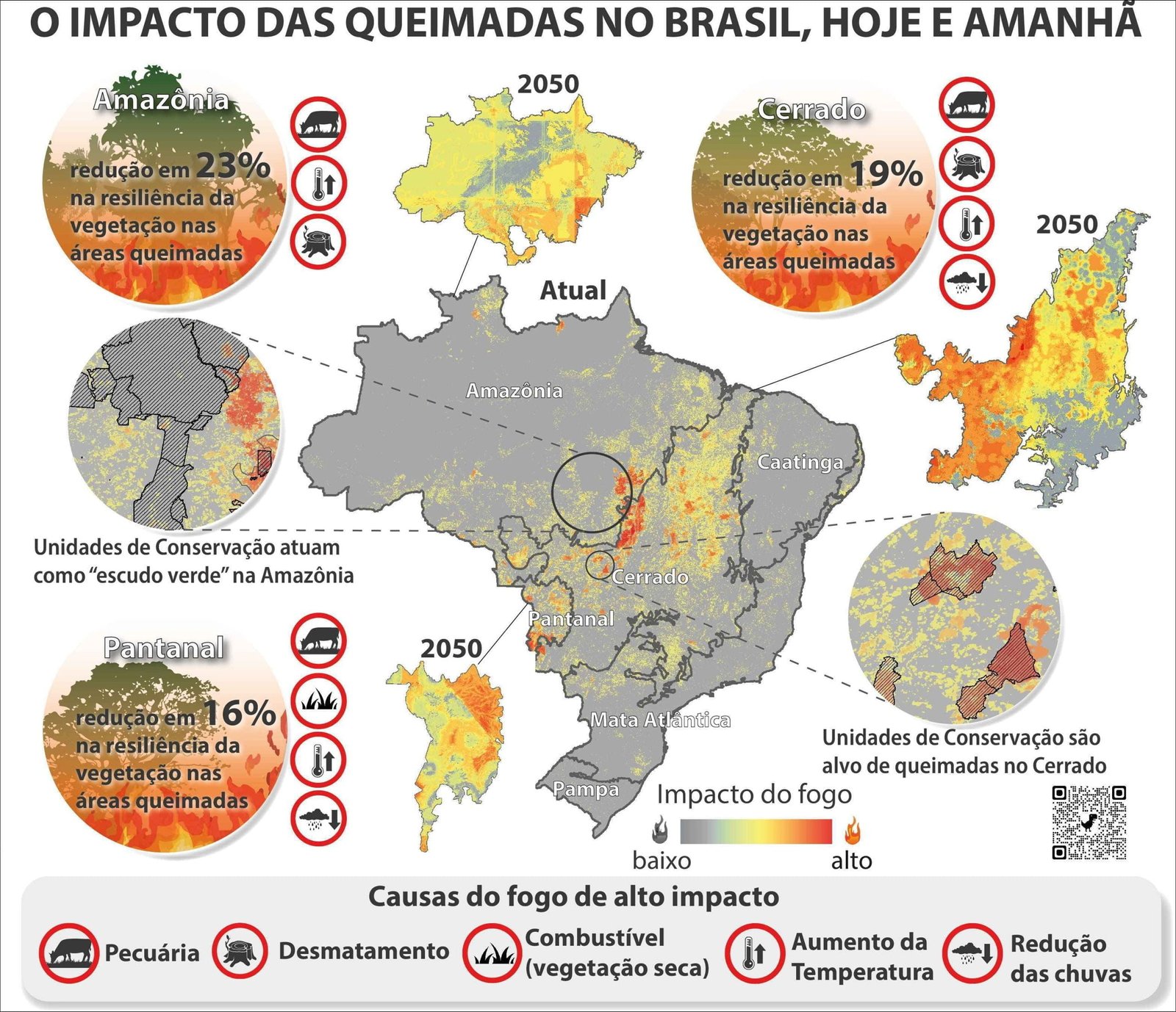 Mapa mental com IMPACTO DAS QUEIMADAS NO BRASIL HOJE E AMANHÃ no centro, ramificando-se para Amazônia e Cerrado