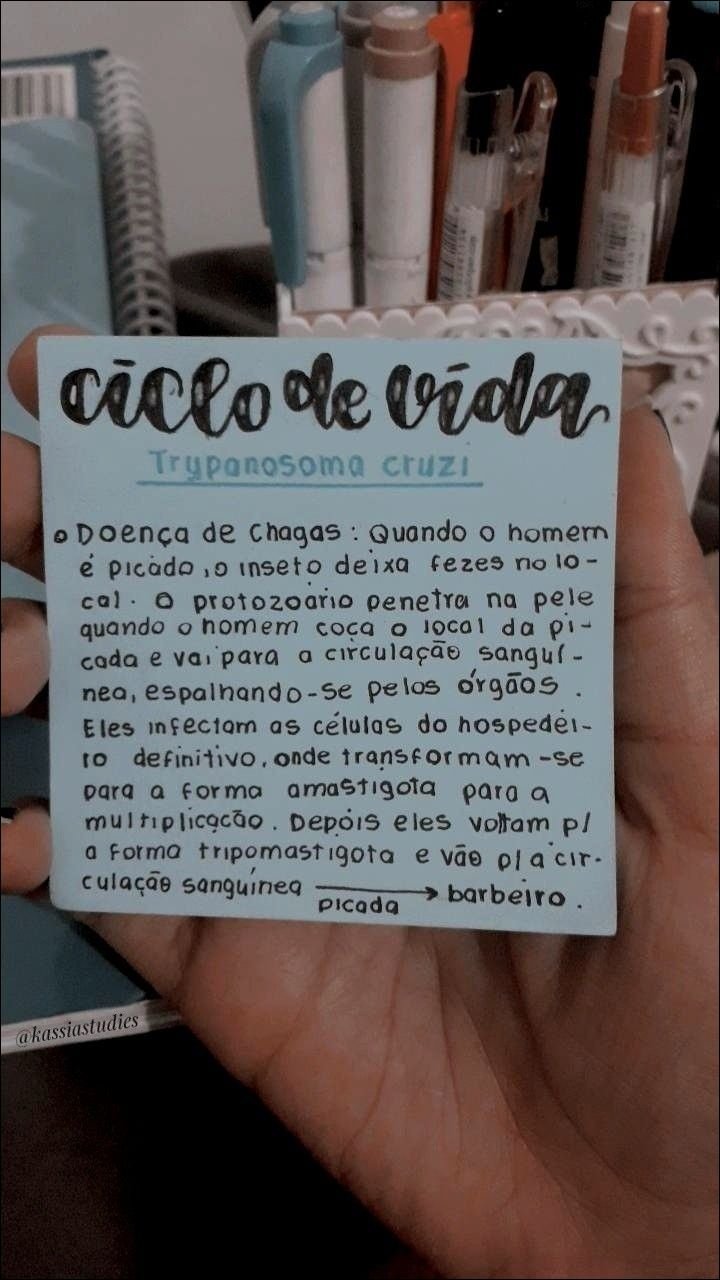 Ciclo de Vida do Trypanosoma cruzi e a Doença de Chagas