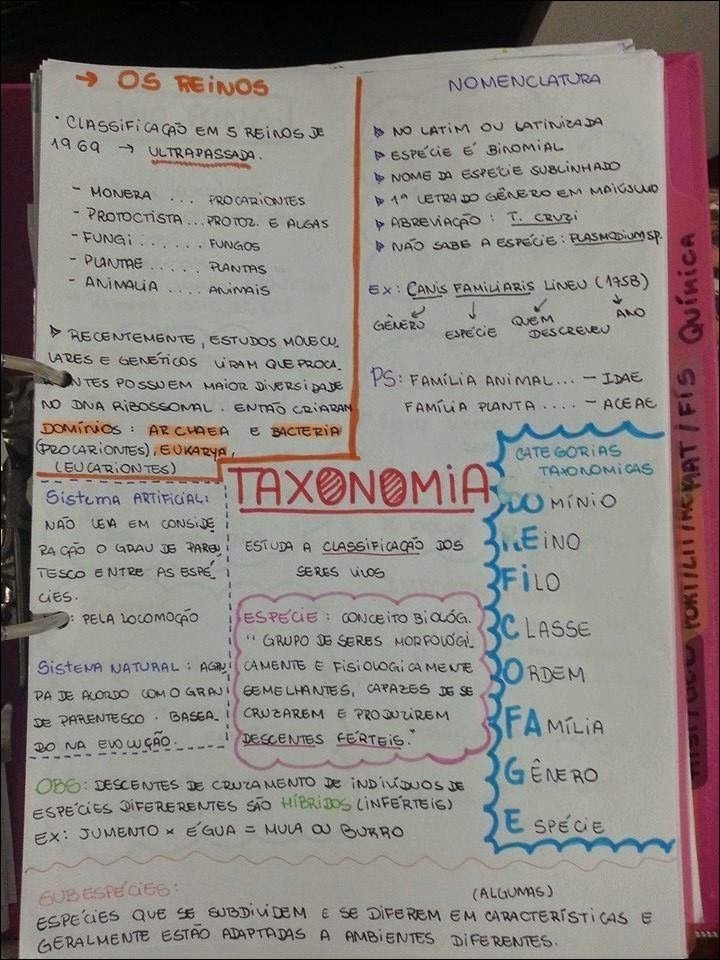 Mapa mental com Reinos no centro, ramificando-se para Nomenclatura e Classificação em 5 Reinos