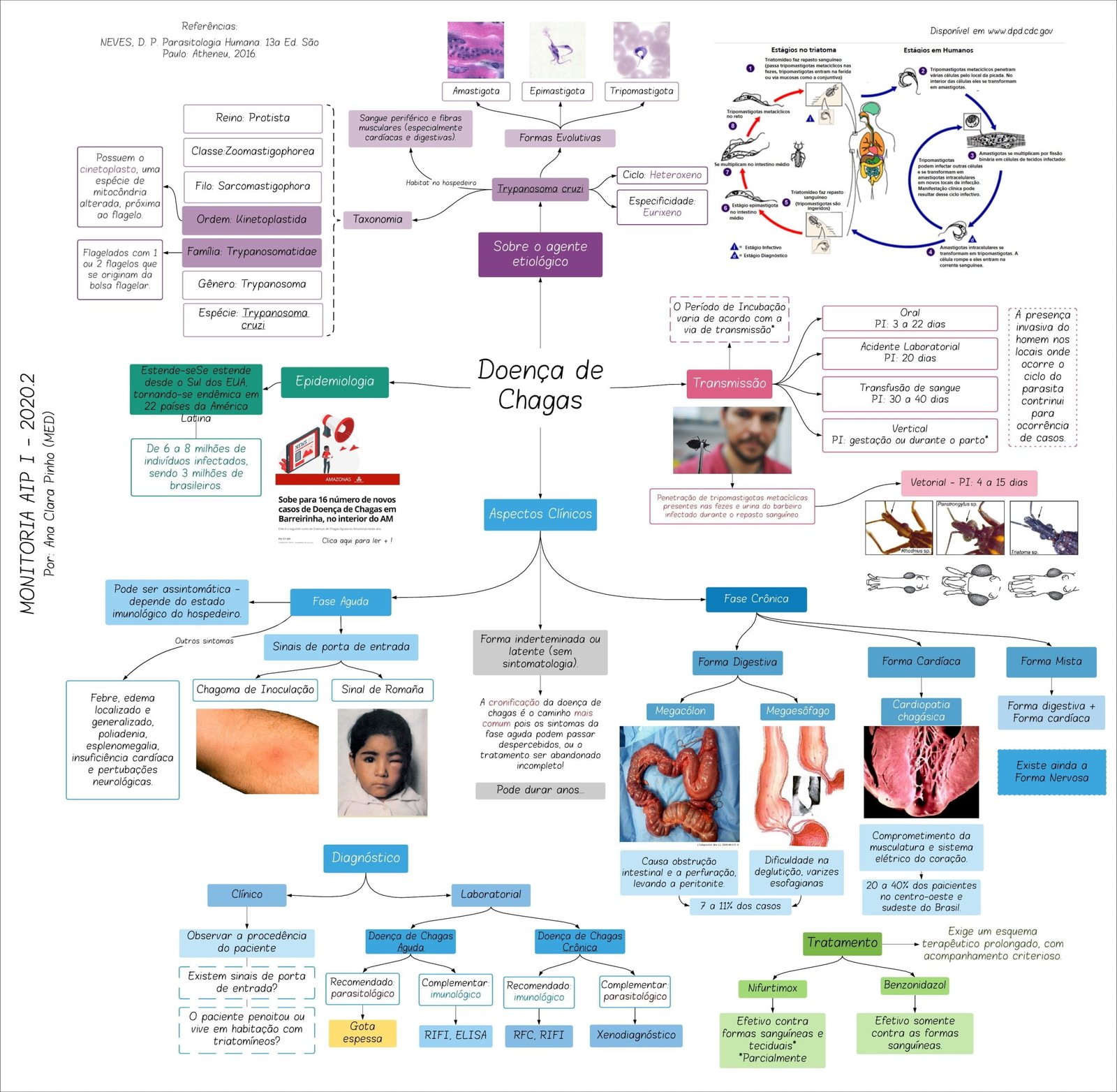 Mapa mental com Trypanosoma cruzi no centro, ramificando-se para Taxonomia, Reino Protista, Ordem Kinetoplastida