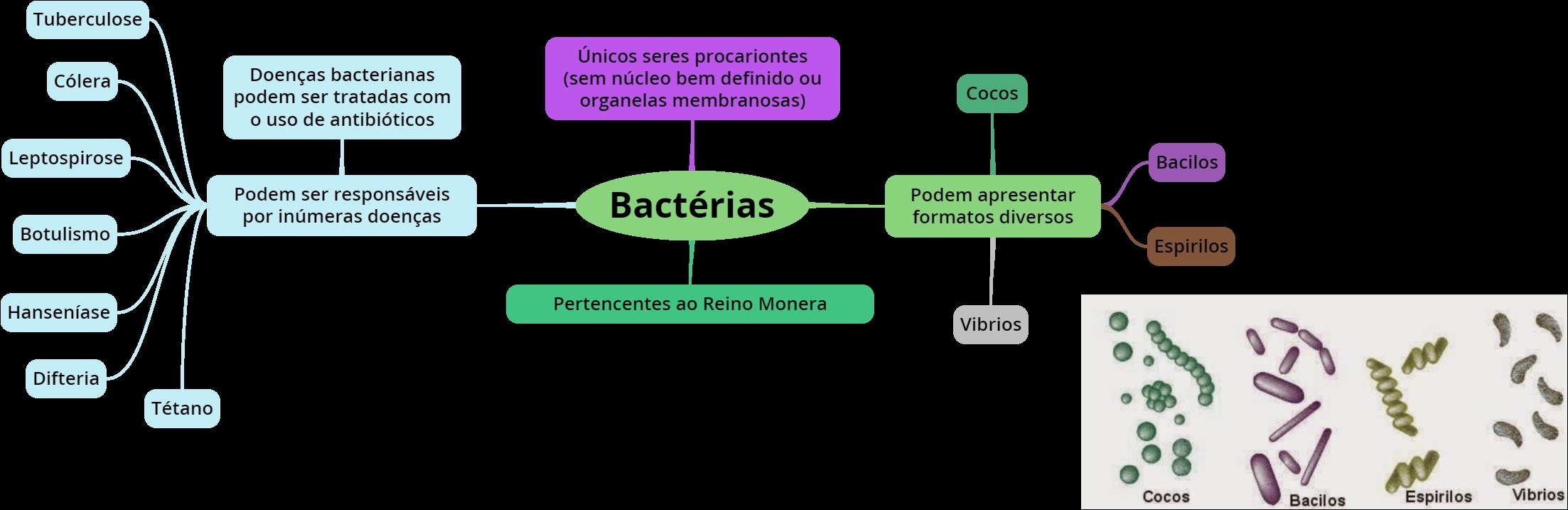 Mapas Mentais sobre DOENÇAS BACTERIANAS Study Maps