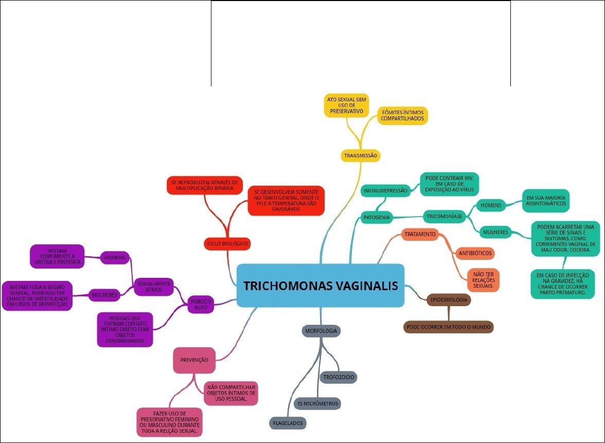 Mapas Mentais sobre HIV - Study Maps
