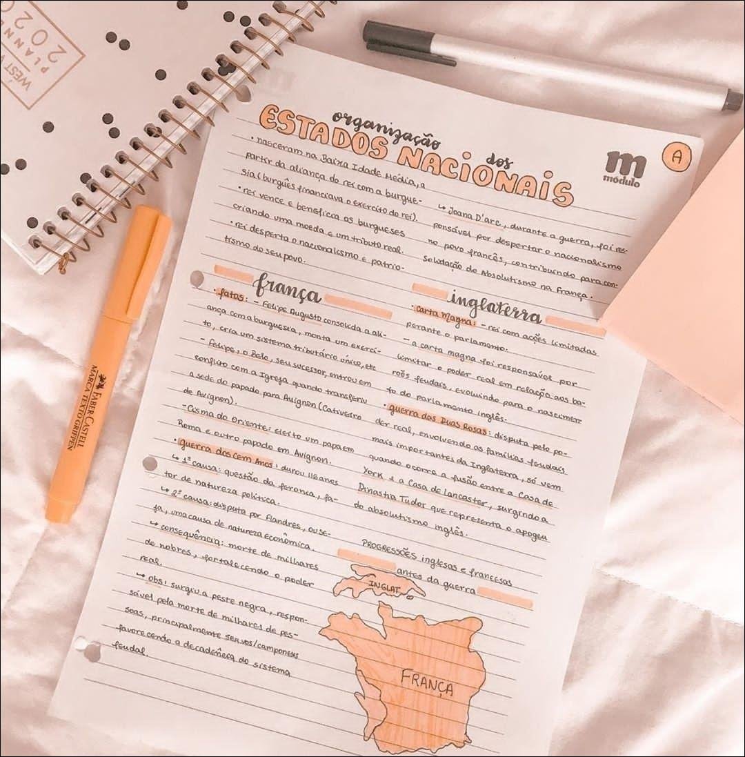 Mapa mental com módulo no centro, ramificando-se para 202 e PLANN