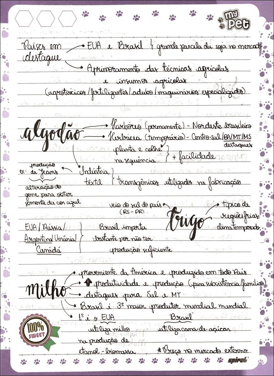 Mapa mental com Agricultura no centro, ramificando-se para Técnicas Agrícolas e Agrotóxicos