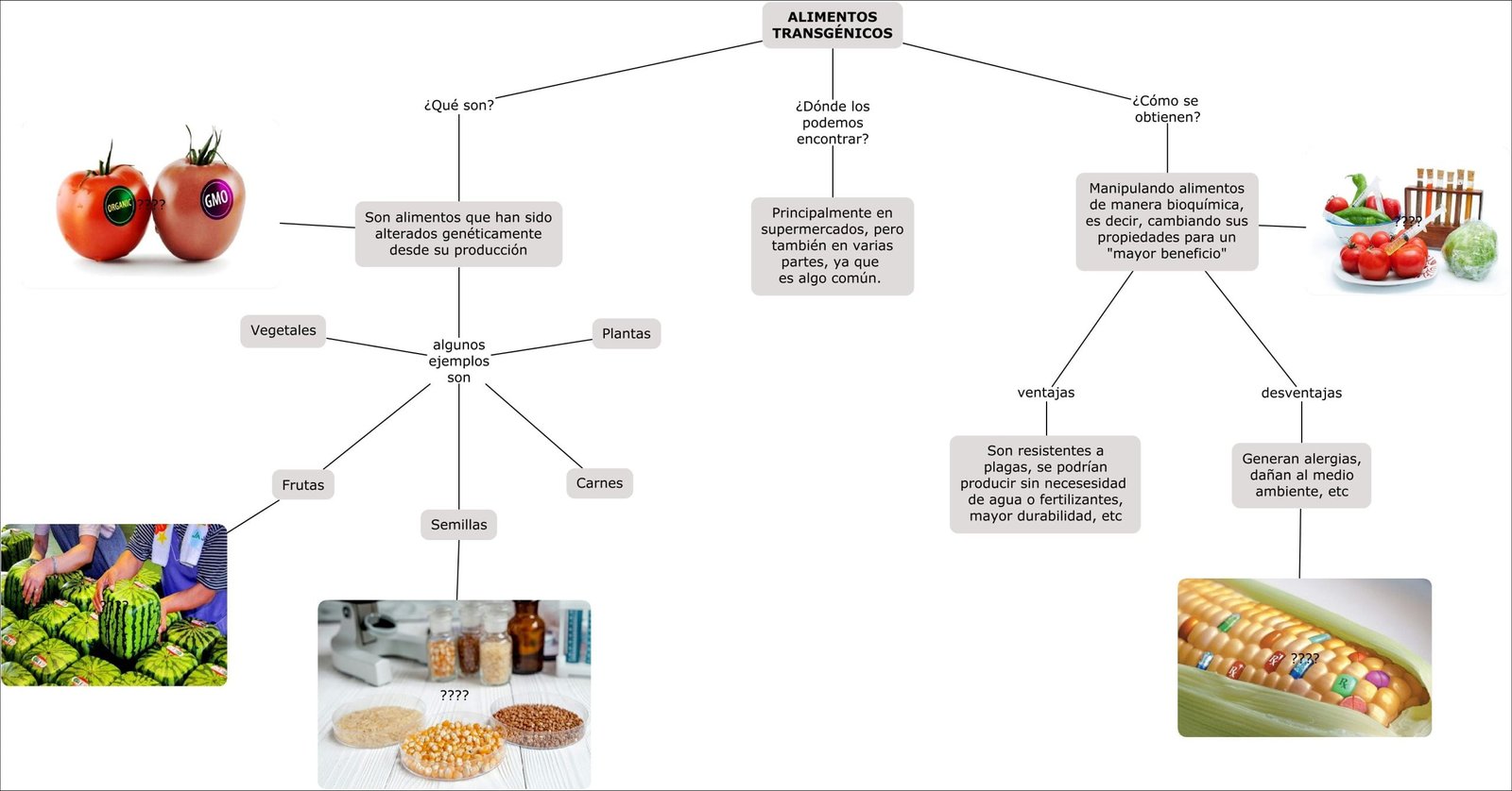 Mapa mental sobre Alimentos Transgênicos, ramificando-se para ¿Qué son, ¿Dónde los encontramos e ¿Cómo se obtienen