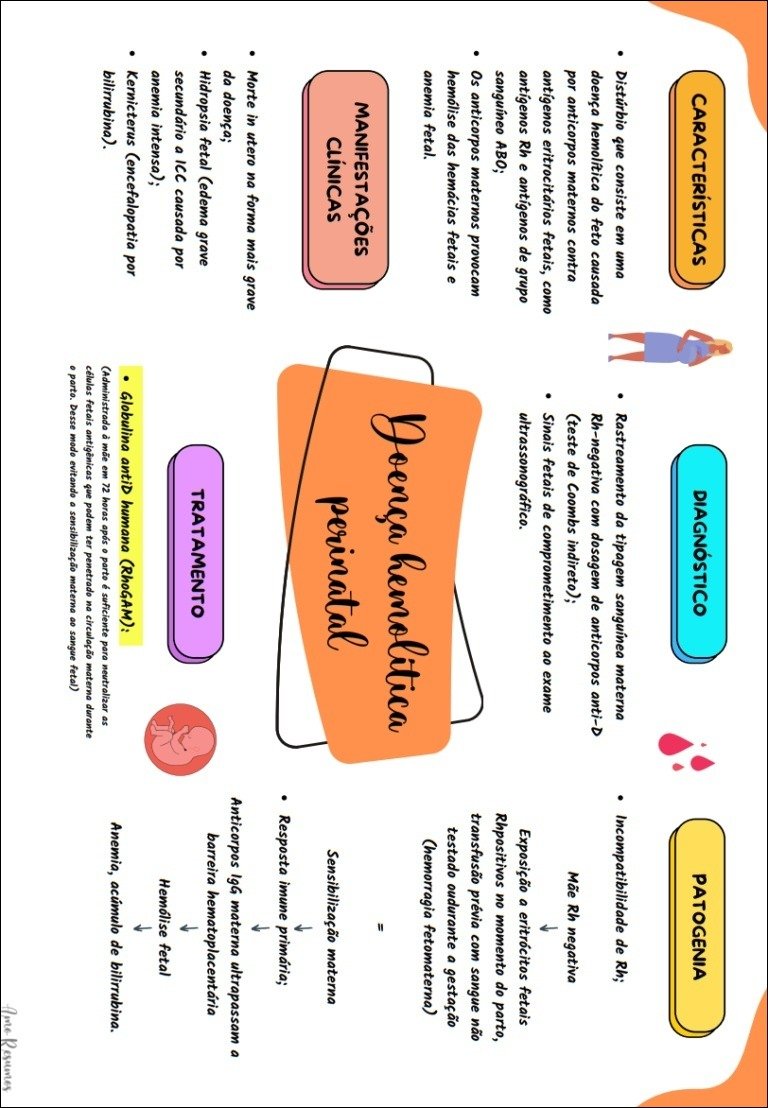 Mapa mental com Palavra1 no centro, ramificando-se para CARACTERÍSTICAS e DIAGNÓSTICO